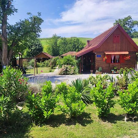 Pod Orehom Drvena Kuca I Sauna Otel Krapina Dış mekan fotoğraf