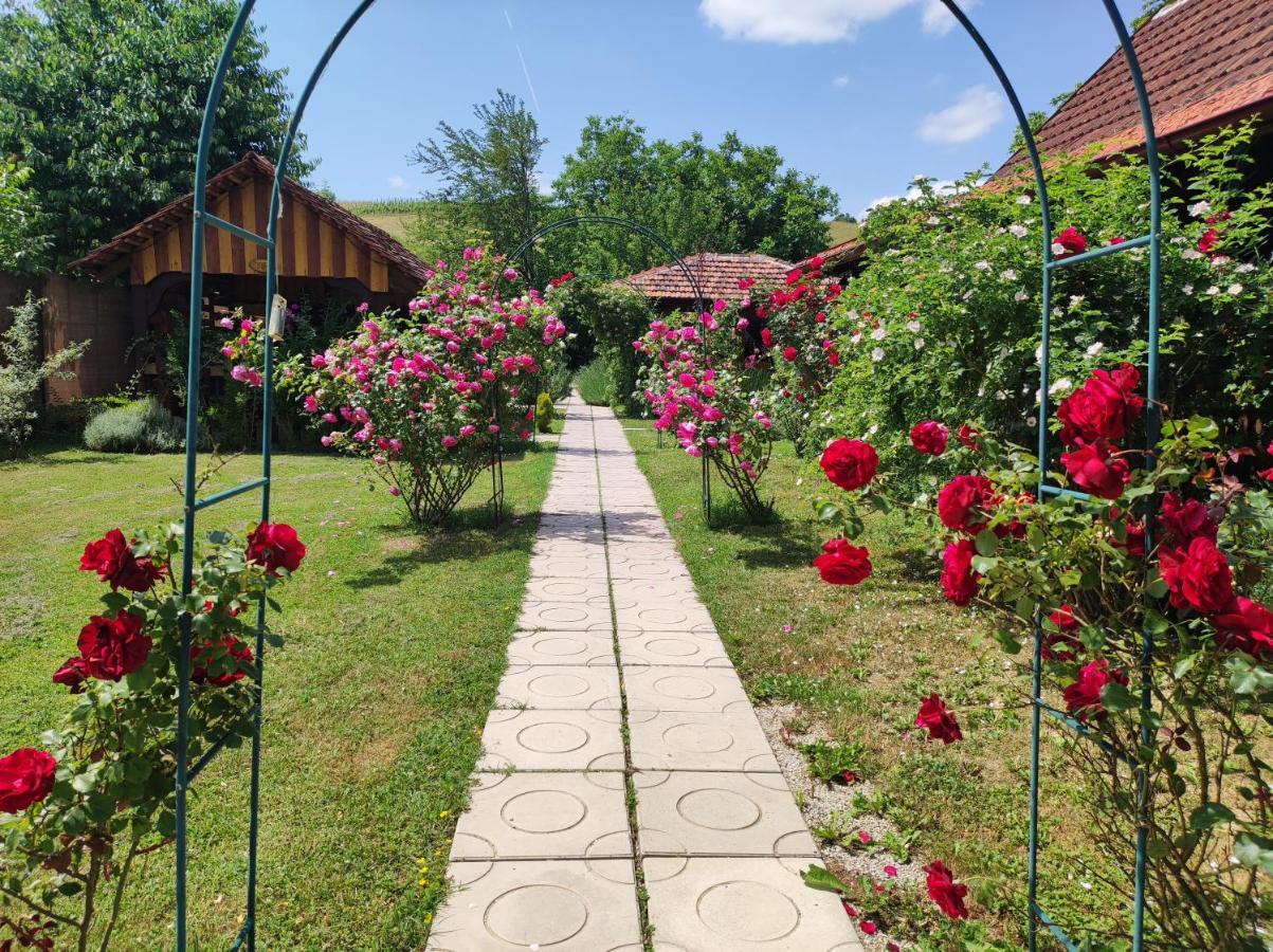 Pod Orehom Drvena Kuca I Sauna Otel Krapina Dış mekan fotoğraf