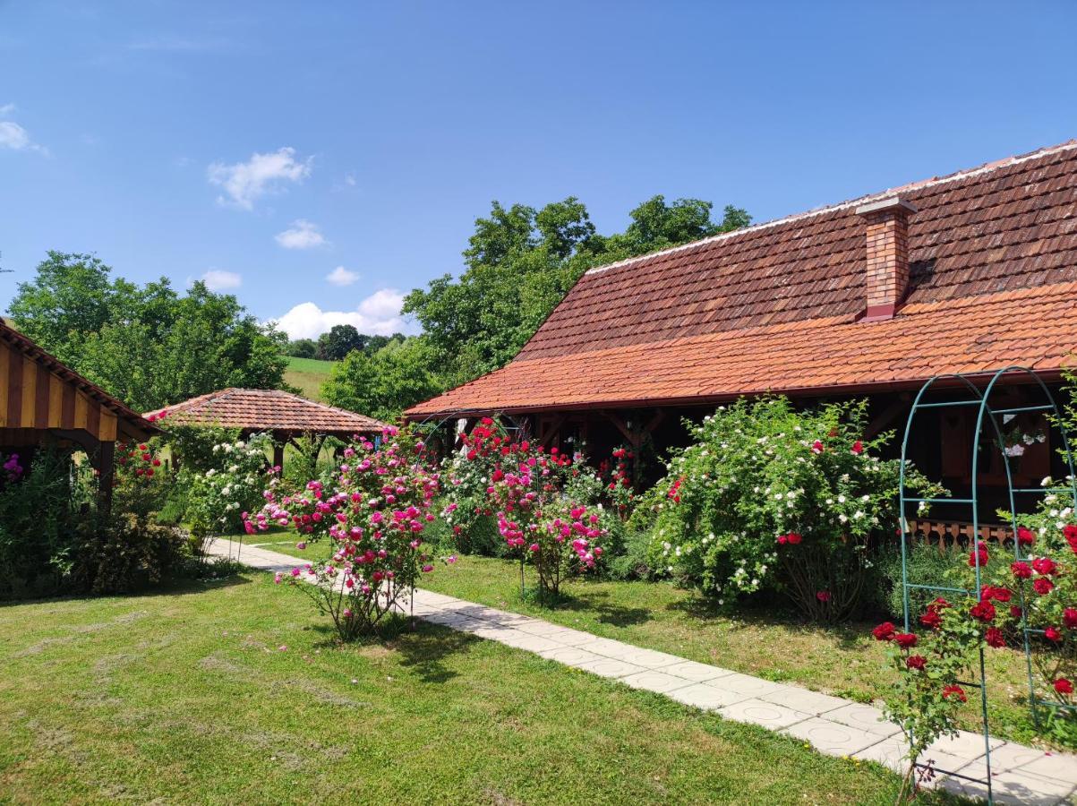 Pod Orehom Drvena Kuca I Sauna Otel Krapina Dış mekan fotoğraf