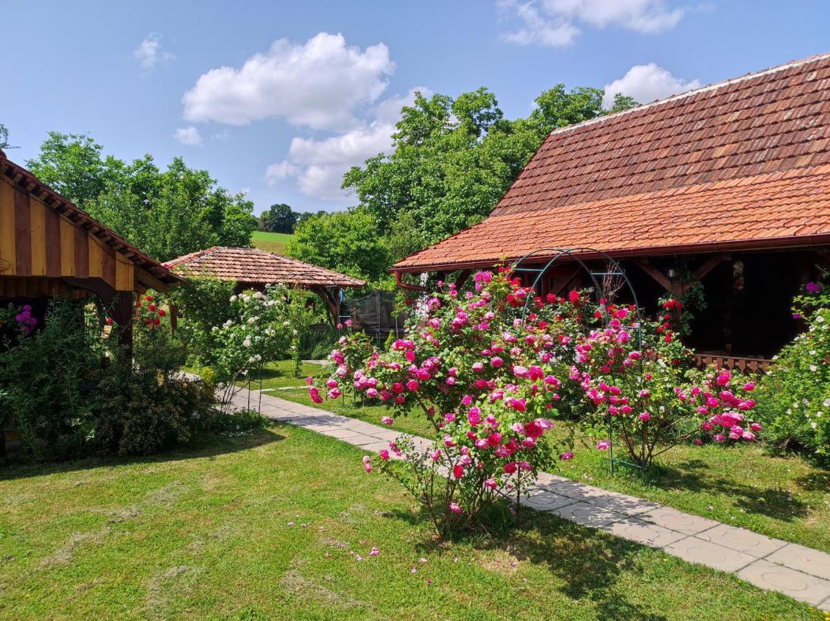 Pod Orehom Drvena Kuca I Sauna Otel Krapina Dış mekan fotoğraf