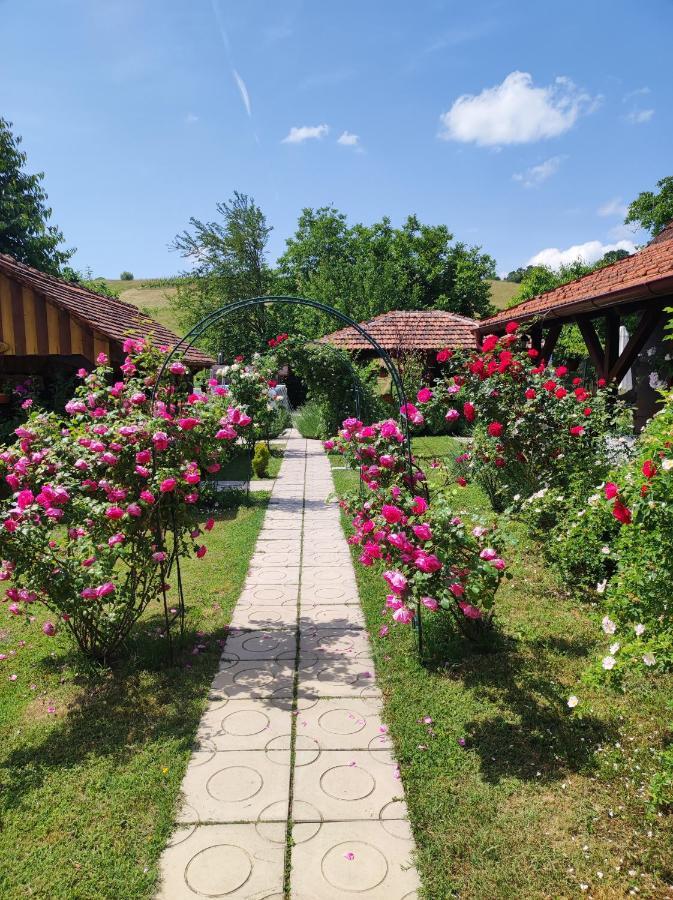 Pod Orehom Drvena Kuca I Sauna Otel Krapina Dış mekan fotoğraf